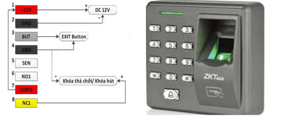 Máy kiểm soát cửa bằng vân tay và thẻ từ ZKTECO X7