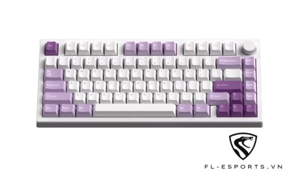 Bàn Phím Cơ FL-Esports GP75CPM Taro Purple Kailhbox V2 Red Switch (Type C, Bluetooth, Wireless 2.4Ghz)