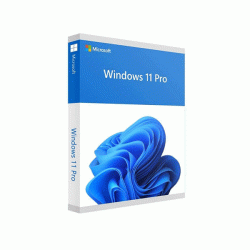 Phần mềm Microsoft Windows Pro 11 64Bit ESD FQC-10572