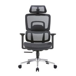 Ghế công thái học E-Dra EEC220 Black