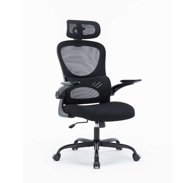 Ghế công thái học WARRIOR Hero series – WEC501 Plus Black