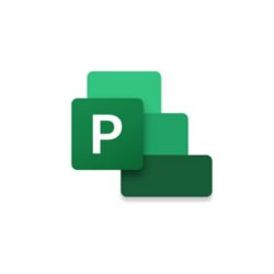 Phần mềm Microsoft Project Project standard 2024 ESD EP2-07057 (1 thiết bị/ Vĩnh viễn)