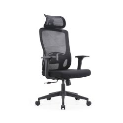 Ghế công thái học E-Dra EEC222 Black