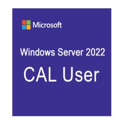 Phần mềm Microsoft Windows Server 2022 Remote Desktop Services - 1 User CAL