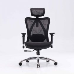 Ghế công thái học Sihoo M57 Black -N101
