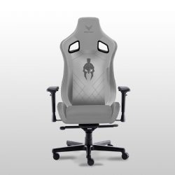 Ghế game Centaur Akali Gray White