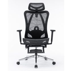 Ghế công thái học E-Dra EEC225 Black