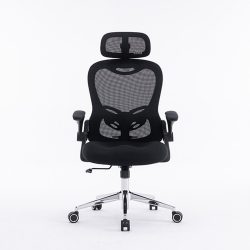 Ghế công thái học E-Dra EEC224 Black