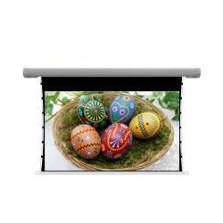 Màn chiếu điện Dalite Tab-Tension Film133 (133Inch/ 2m94x1m66)