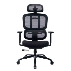 Ghế công thái học WARRIOR HERO SERIES - WEC509 Pro Black