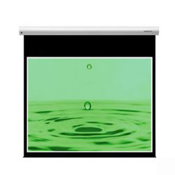 Màn chiếu treo Dalite PL84WS (120Inch/ 2m13 x 2m13)