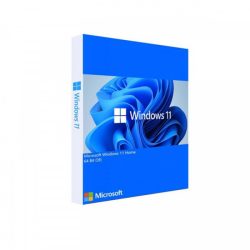 Phần mềm Microsoft Windows Home 11 64Bit KW9-00632