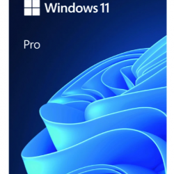 Phần mềm Microsoft Windows Pro 11 64Bit USB FPP/HAV-00163