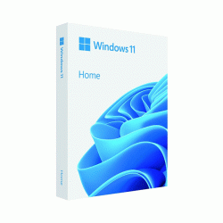 Phần mềm Microsoft Windows Home 11 64bit ESD KW9-00664