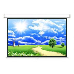 Màn chiếu treo Dalite P80WS (113Inch/ 2m03 x 2m03)