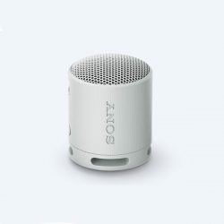 Loa không dây Sony SRS-XB100/HCE - Màu xám