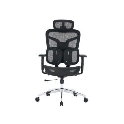 Ghế công thái học E-Dra EEC226 Black