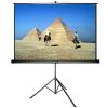 Màn chiếu chân Dalite PW96TS (120Inch/ 2m44 x 1m83)