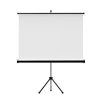 Màn chiếu chân Dalite P70TS (100Inch/ 1m78 x 1m78)