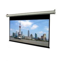 Màn chiếu điện Dalite PW250ES (250Inch/ 5m10 x 3m80)