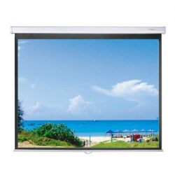 Màn chiếu treo Dalite PL170WS (170Inch/ 3m05 x 3m05)