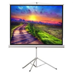 Màn chiếu chân Dalite P80TS (113Inch/ 2m03 x 2m03)