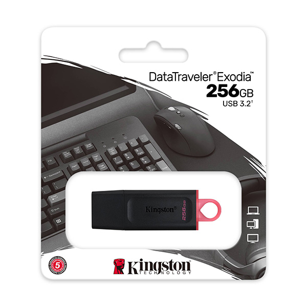 USB Kingston DTX 256Gb USB3.2 USB Kingston DTX 256Gb USB3.2