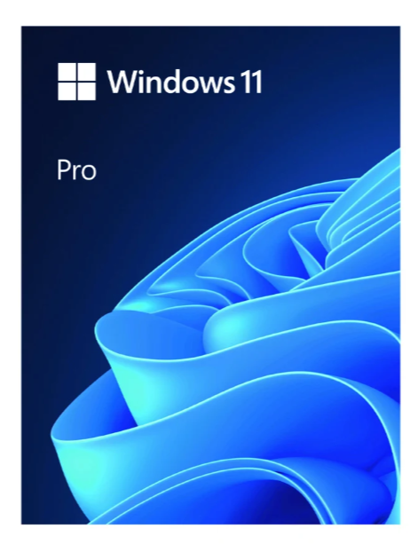 Phần mềm Microsoft Windows Pro 11 64Bit USB FPP/HAV-00163 Phần mềm Microsoft Windows Pro 11 64Bit USB FPP/HAV-00163