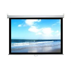 Màn chiếu treo Dalite P96WS (136Inch/ 2m44 x 2m44)