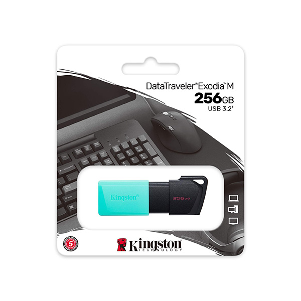 USB Kingston DTXM 256Gb USB3.2 Gen1 USB Kingston DTXM 256Gb USB3.2 Gen1