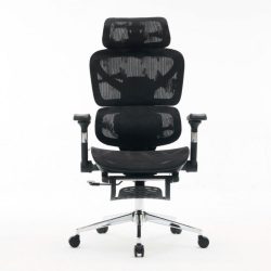 Ghế công thái học E-Dra EEC230M Black