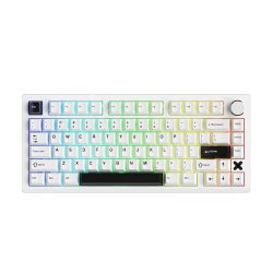 Bàn phím cơ không dây Dareu FLEX 75 White Black Pegasus switch